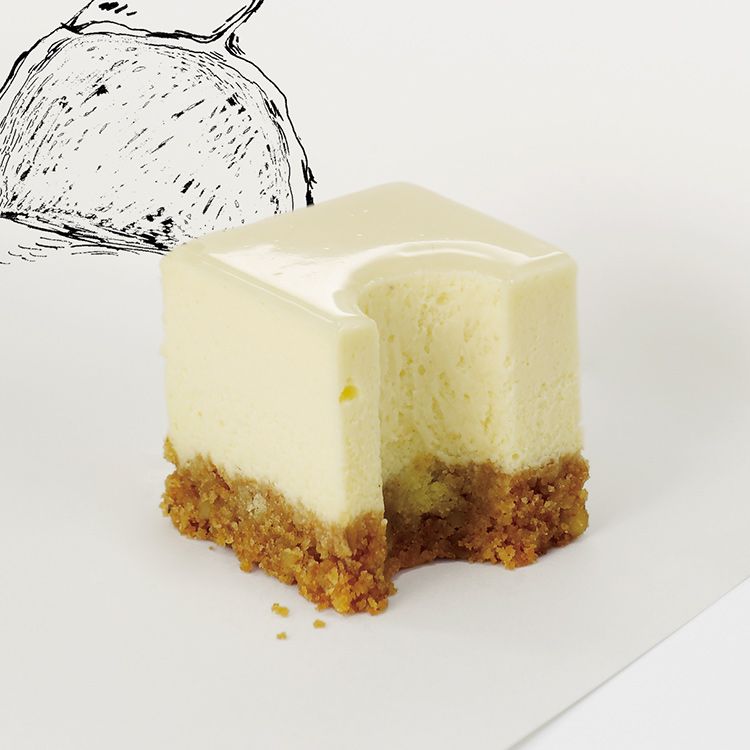21cake21客 乳酪芝士蛋糕新鲜生日蛋糕欧式个性方形白核桃 杰瑞