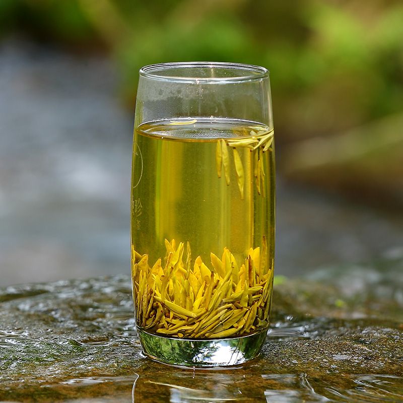 黄茶代表名茶图片