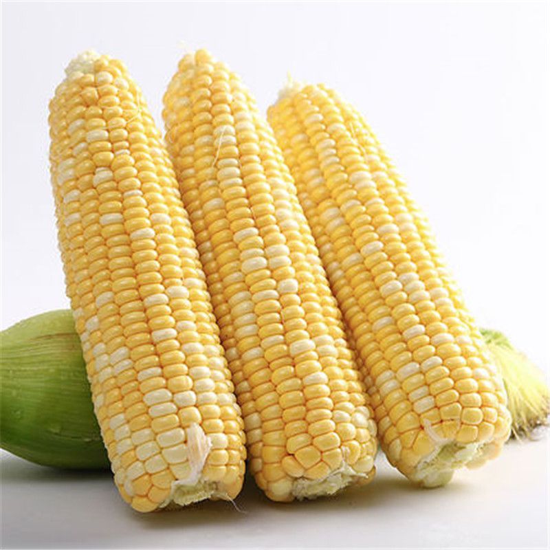 品赞 云南水果玉米8斤单个250g以上即食生吃 现摘现发 新鲜玉米棒包谷