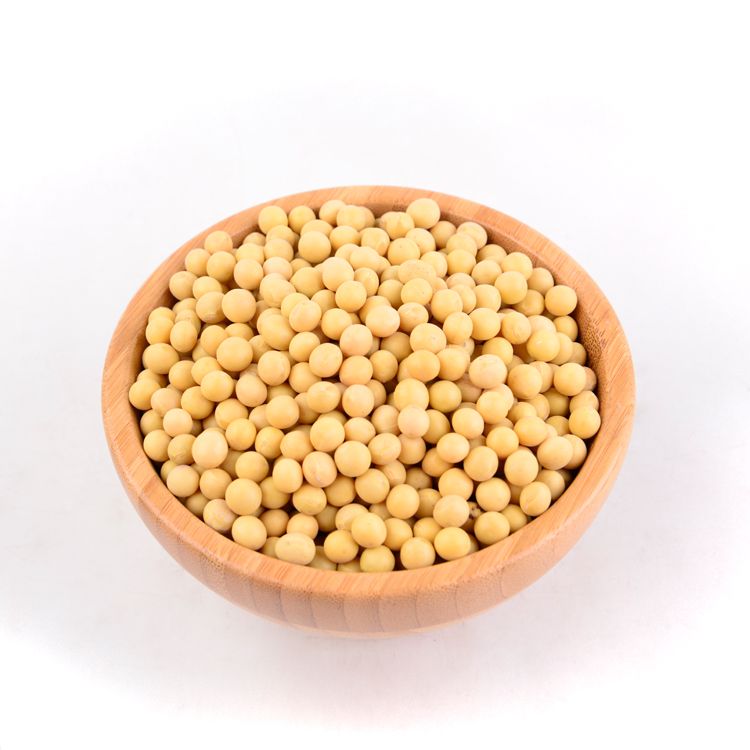 天仁道 杂粮 东北 黄小豆 有机杂粮黄豆800g 新品包邮