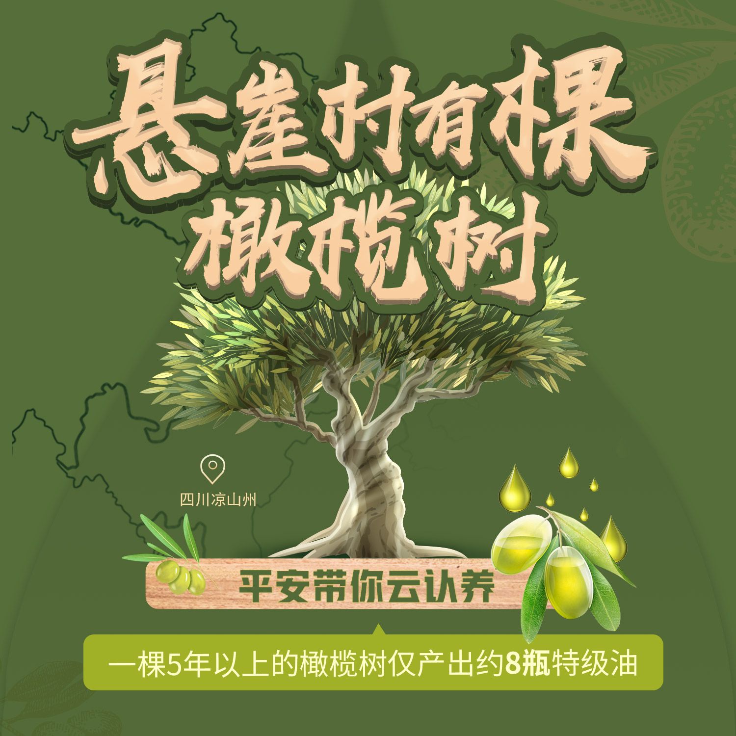 中泽油橄榄庄园 【平安云农场】 我有一棵橄榄树（尊享装） 四川特级初榨橄榄油 250ml金罐*1瓶