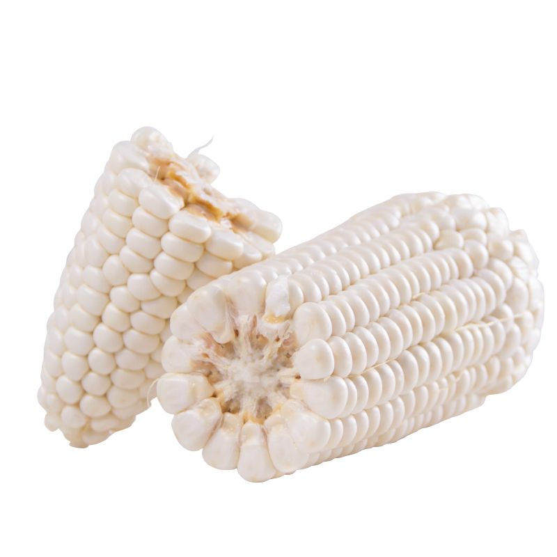 花果鲜 云南香糯白玉米5斤 新鲜水果甜玉米 单个200g起 煮着更好吃