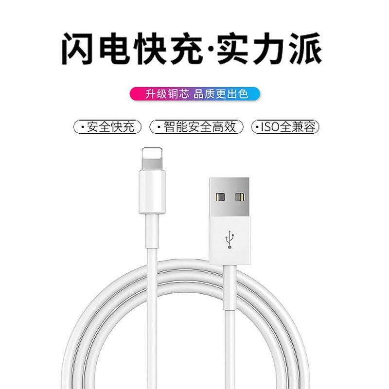 致奥 苹果数据线手机快充套装适用iphonexs/XR/11/8/6s/7plus -【白色一条装】