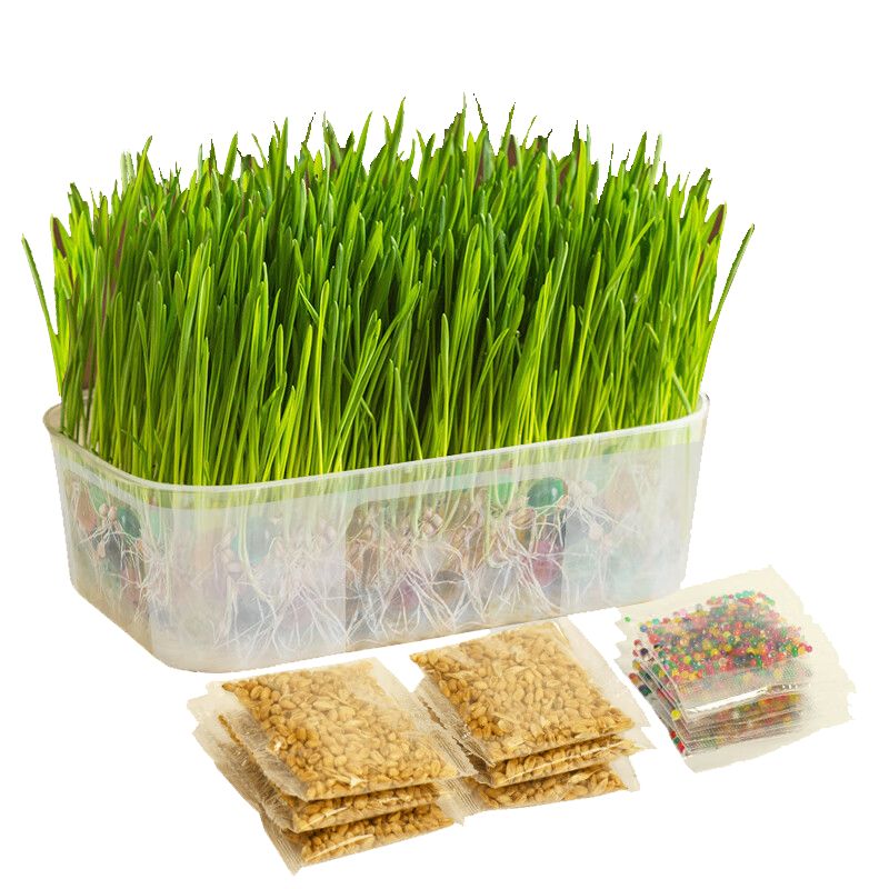京东直供 憨憨乐园猫草种子水培猫零食猫咪助消化猫薄荷去毛球天然猫草盆种植套装