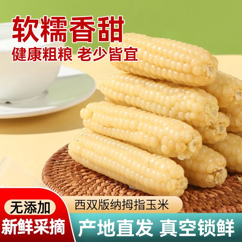 品赞 云南拇指玉米2斤软糯老品种小手指迷你袖珍白糯玉米