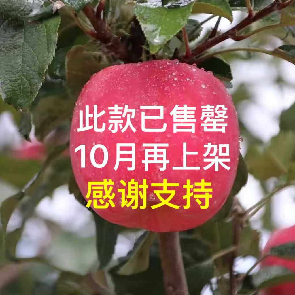 葫芦河 静宁苹果 酸甜可口  特大果12枚、18枚  顺丰京东包邮  产地客服13689466983