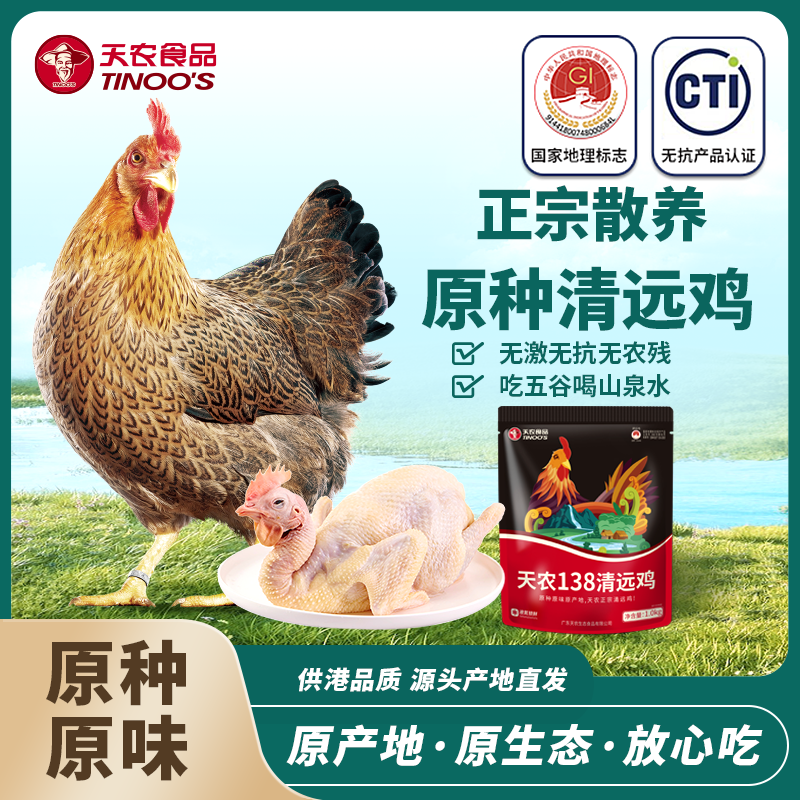 天农食品 正宗原种清远鸡1kg  6优生态农场长天龄散养 种源纯正 皮爽肉滑 味道正宗  18011824445