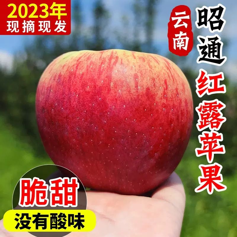 品赞 云南昭通红露苹果9斤果径65-75mm野生丑苹果脆甜